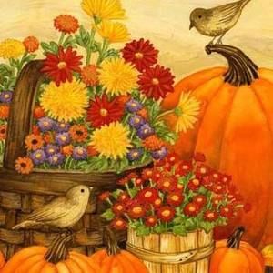 Meet your Posher, Maria